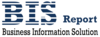 BisReport Consulting